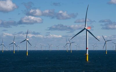 Tracking birds in windfarms