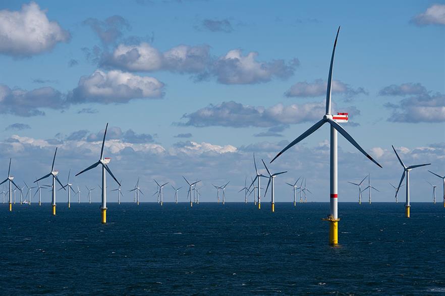 Tracking birds in windfarms