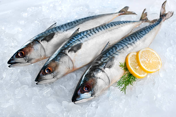 Aminic detects freshness of fish european business news