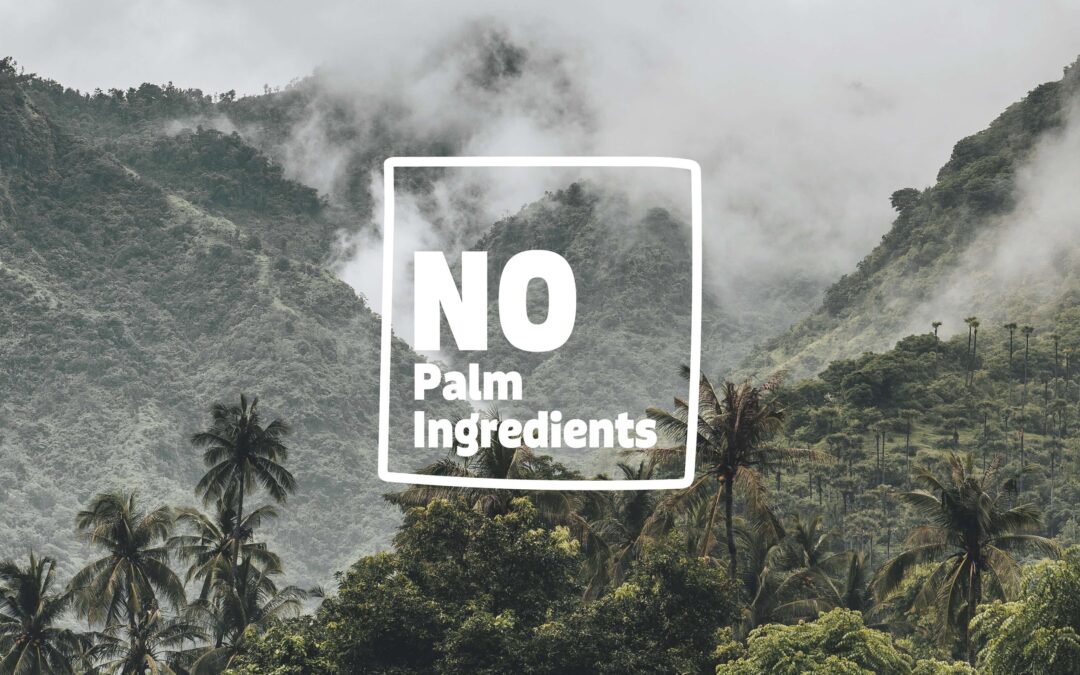 nopalm ingredients palm oil alternative european business news