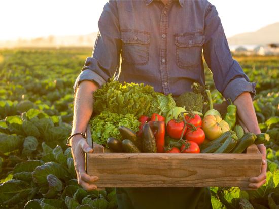 Restaurants buying local